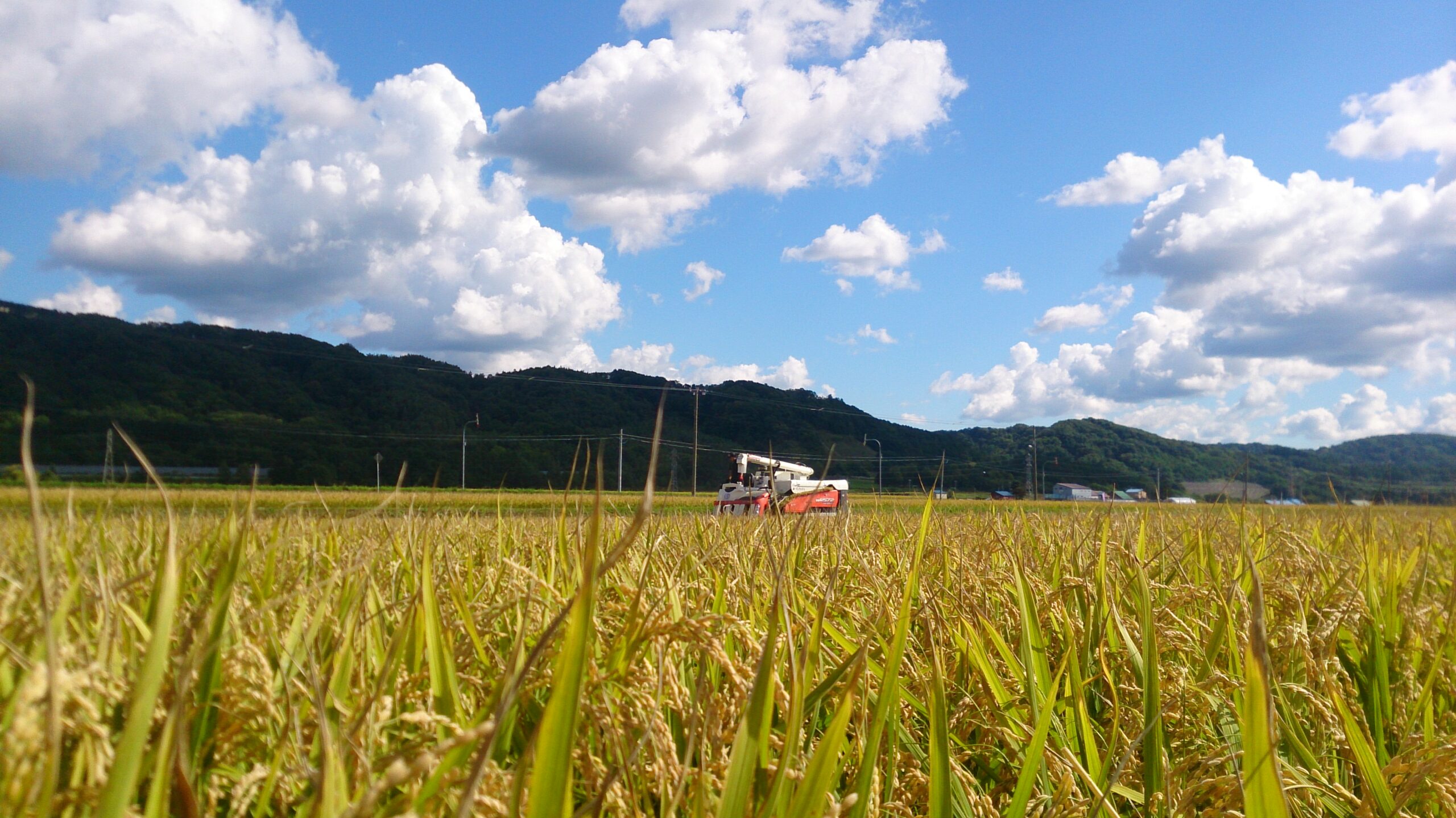 ゆめぴりかの里